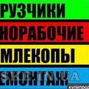 Грузчики,  грузоперевозки, вывоз мусора круглосуточно Одеса