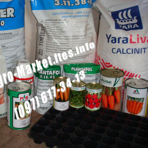 Семена овощей купить в Украине