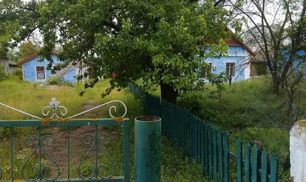 дом за городом в Одесской области, в живописном месте, рядом лес, лиман 8