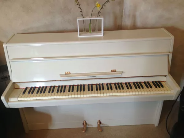 Настройка ,  ремонт,  реставрация роялей и пианино  3
