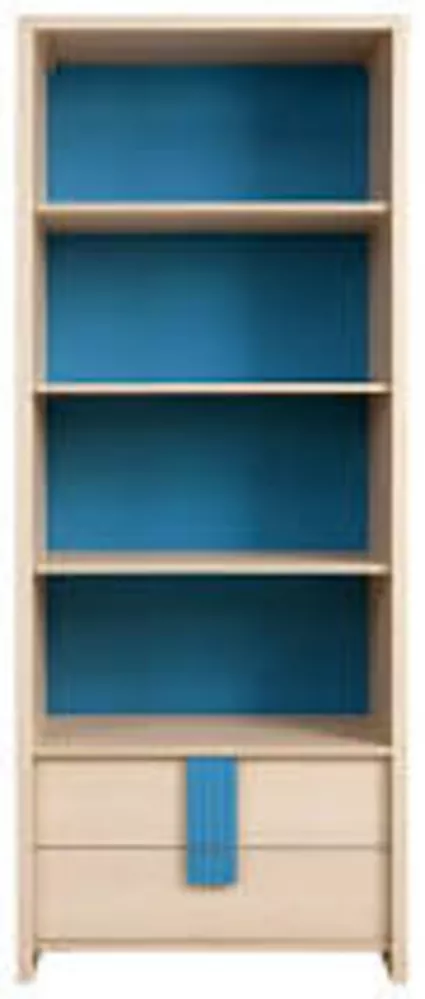 Шкаф-пенал для книг в комнату школьника БРВ Капс