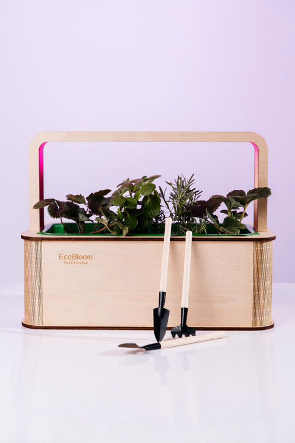 EcoBloom Smart Garden Розумний сад вдома 2
