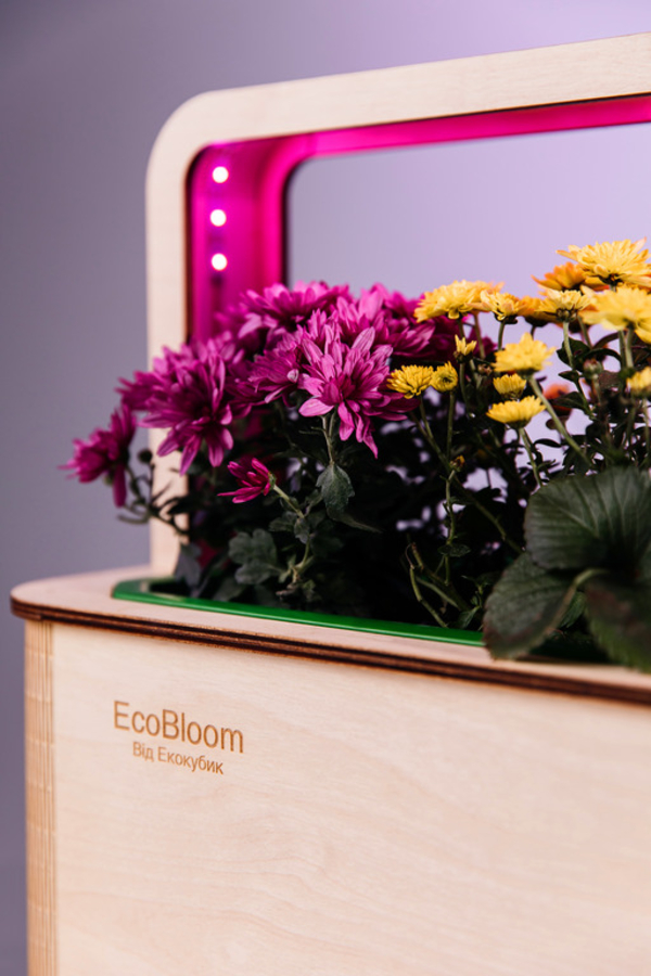 EcoBloom Smart Garden Розумний сад вдома 4