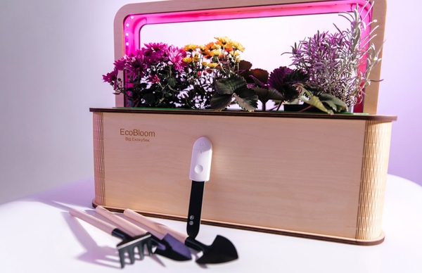 EcoBloom Smart Garden Розумний сад вдома 5