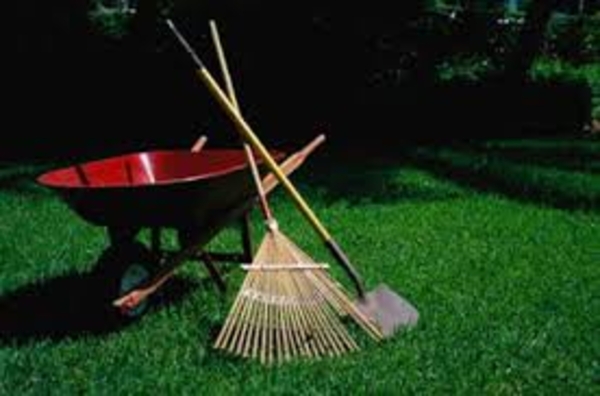  Уборка территории , вывоз мусора и многое другое  4