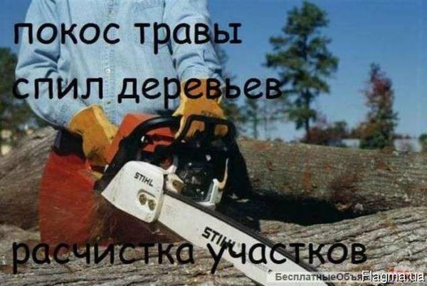 Спил дерева, демонтаж работы, земляные работы в ручную Одесса 3
