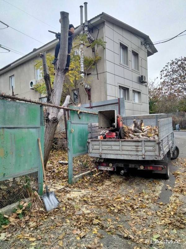 Спил дерева, демонтаж работы, земляные работы в ручную Одесса 3