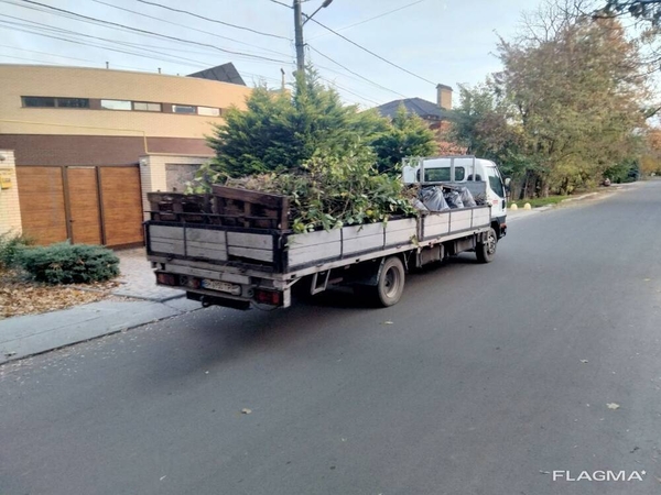 Спил дерева, демонтаж работы, земляные работы в ручную Одесса 5