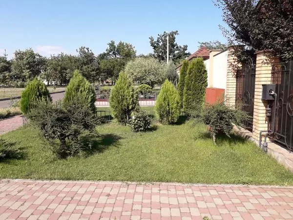 Рулонный газон,  посевной газон в Одессе 2